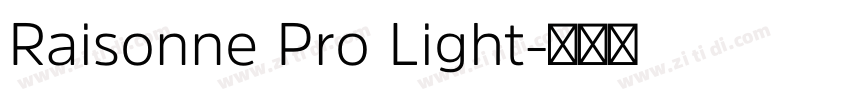 Raisonne Pro Light字体转换